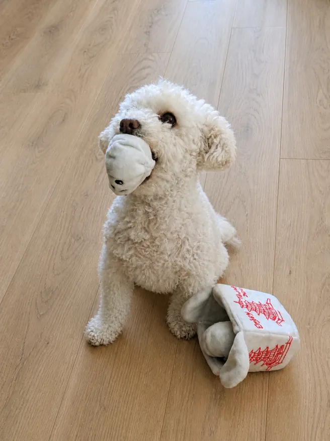 Isaac, the dog who inspired the Barking Lamb name